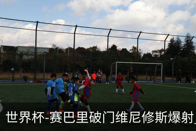 世界杯-赛巴里破门维尼修斯爆射 巴西半场暂1-1摩洛哥